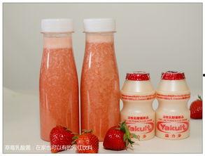 网红水果乳酸菌饮料,健康时尚新宠，口感与营养的双重享受
