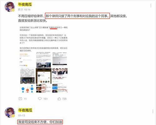 小雪黑粉爆料视频大全,视频大全深度解析