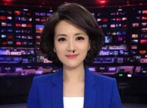 央视董丽萍头条号,揭秘央视名记背后的故事与观点
