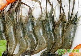 爆料人工养殖海虾视频,视频曝光养殖过程全纪录